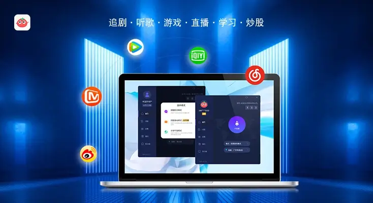 飞鱼回国vpn pc示例