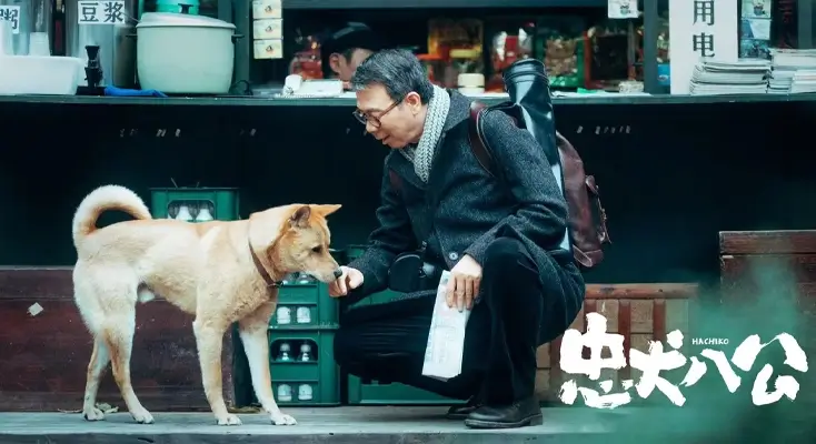 怎样在海外看国内视频